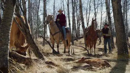 Heartland S11E16