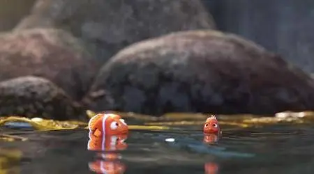 Alla ricerca di Dory (2016)