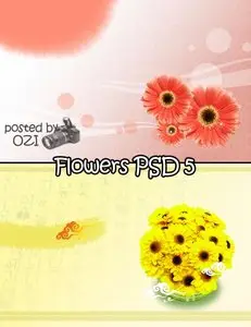 Flowers Backgrounds PSD
