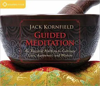 Guided Meditation: Six Essential Practices to Cultivate Love, Awareness, and Wisdom [Audiobook]