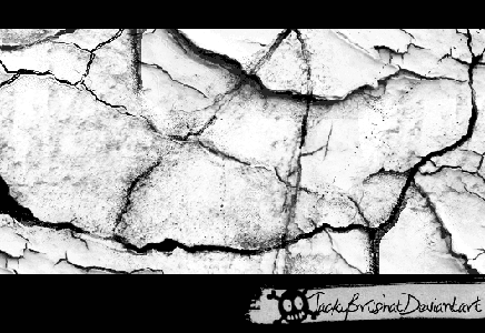 Grunge Brushes 007