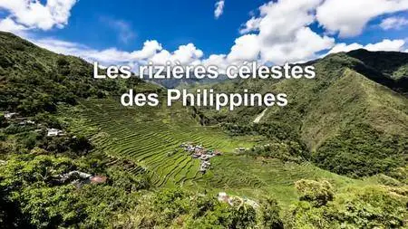 (Arte) Les rizières célestes des Philippines (2016)