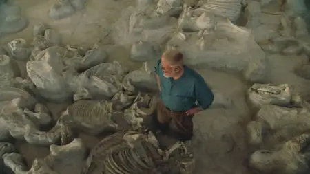 Clash of the Continents [Series 2 of 2] /  Столкновение континентов [2 серии из 2] (2010) 