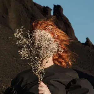 Goldfrapp - Silver Eye (2017) [Official Digital Download]