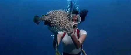 The Deep (1977)