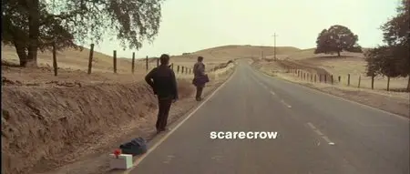 Scarecrow (1973)
