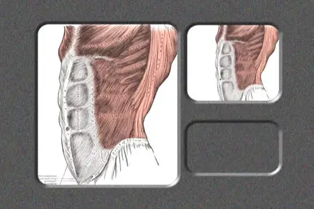 Larry Withers - Anatomy for artists: Man In Motion [repost]
