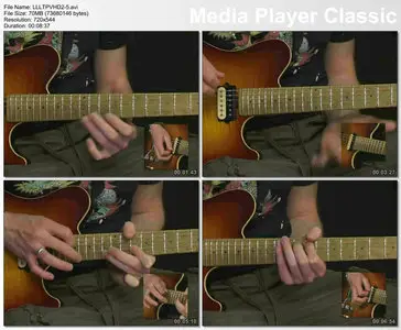 Lick Library - Learn To Play Van Halen (2006)