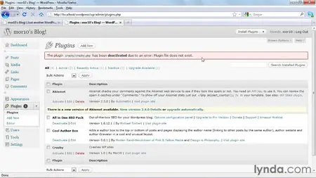 WordPress 3.0 Essential Training