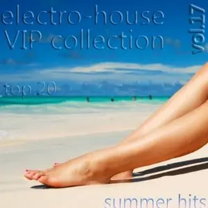 Electro-House VIP Collection vol.17 (2010)