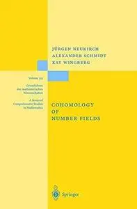 Cohomology of number fields