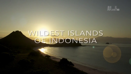 Animal Planet - Wildest Islands of Indonesia: Series 1 (2016)