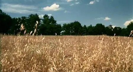 Nuri Bilge Ceylan-Mayıs sıkıntısı ('Clouds of May') (1999)
