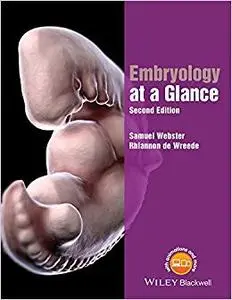 Embryology at a Glance (Repost)