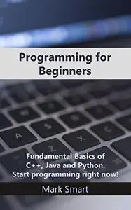 Programming for Beginners: Fundamental Basics of C++, Java and Python. Start programming right now!