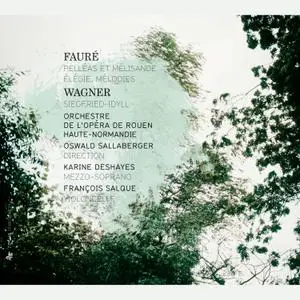 Karine Deshayes, François Salque, Oswald Sallaberger - Fauré: Pelléas et Mélisande, Élégie & Mélodies (2012)
