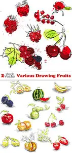 Vectors - Various Drawing Fruits
