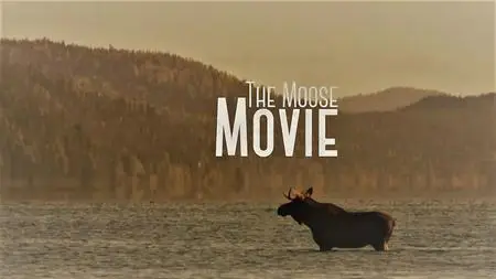 Doclights - The Moose Movie (2020)