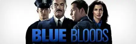 Blue Bloods S02E03