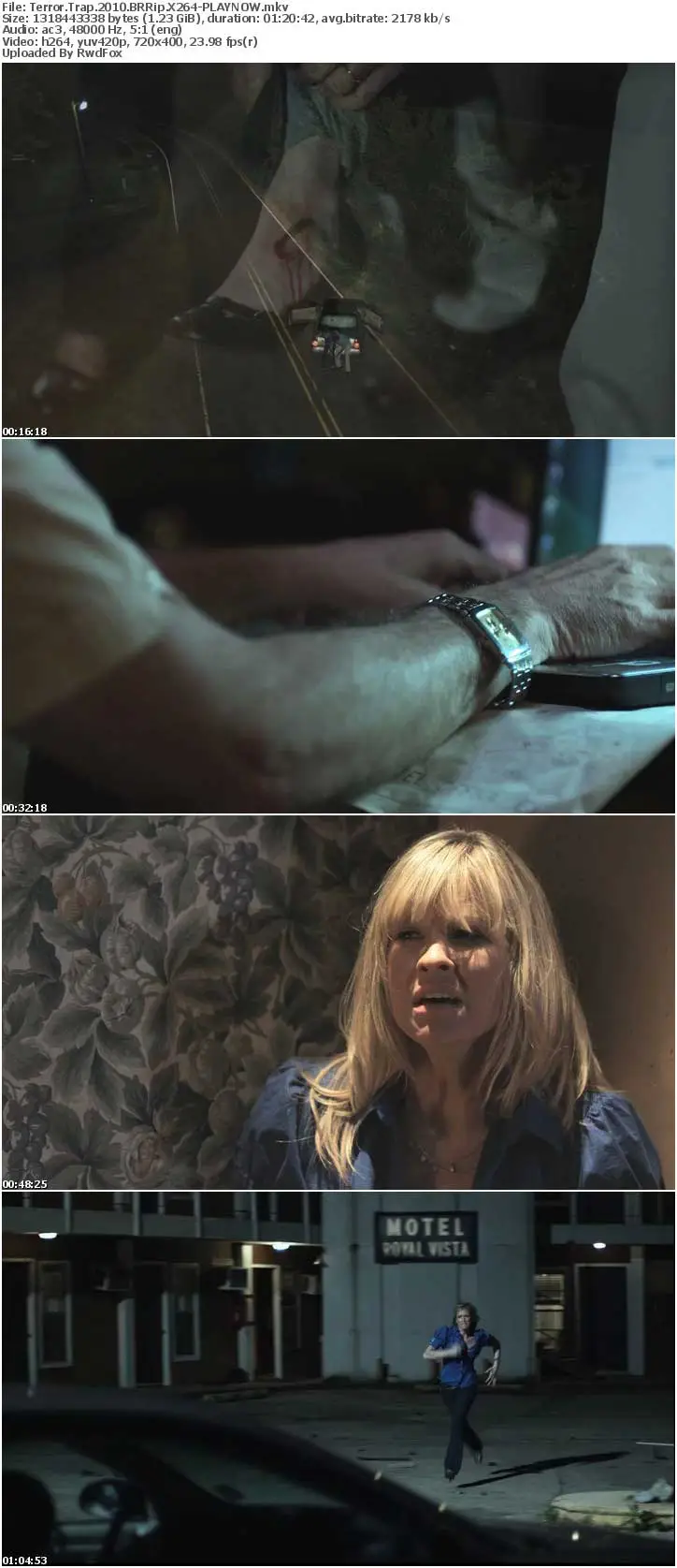 Terror Trap (2010)