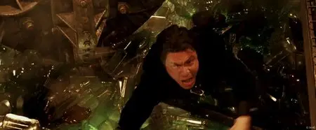 Punisher: War Zone (2009)