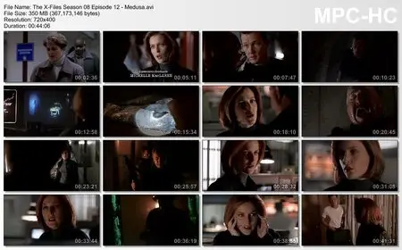 The X-Files - Complete Season 8 (2000) (repost)