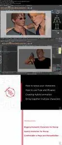 Expressive Face and Hand Hybrid Animation