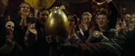 Harry Potter and the Goblet of Fire (2005)