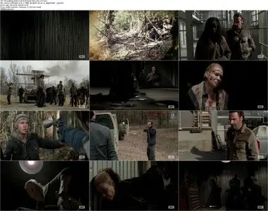 The Walking Dead S03E16 (2013)