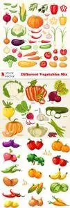 Vectors - Different Vegetables Mix