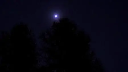 In Search Of S02E07