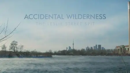 Image result for accidental wilderness leslie street spit