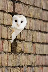 World In Photo 221