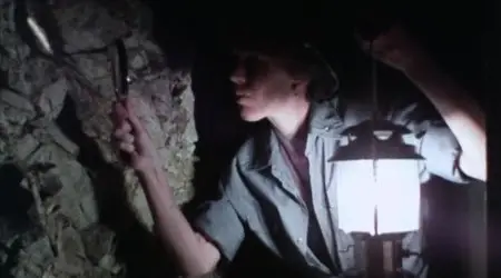 The Strangeness (1985)