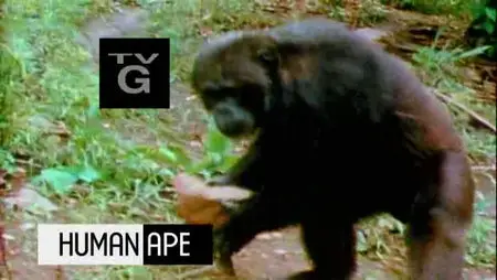 National Geographic - Human Ape (2011)