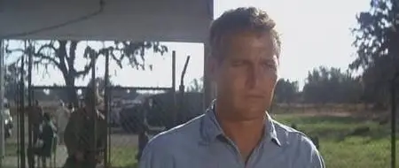 Cool Hand Luke (1967)