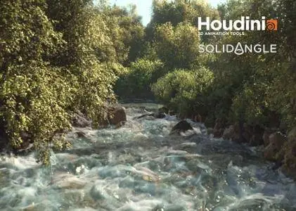 Solid Angle Houdini To Arnold v3.0.1 for Houdini 16.5.378 - 16.5.439 (Win / macOS / Linux)