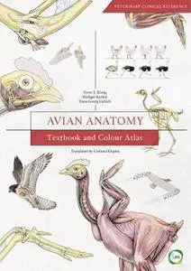 Avian Anatomy: Textbook and Colour Atlas, Second Edition