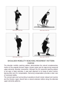 Movement Functional Movement Systems