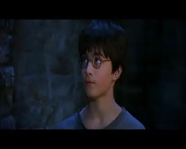 Harry Potter and the Sorcerer's Stone / Гарри Поттер и Философский Камень. 2-х дисковое специальное издание (2001)