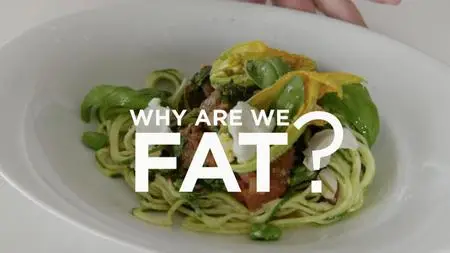 Why Are We Fat? (2017)