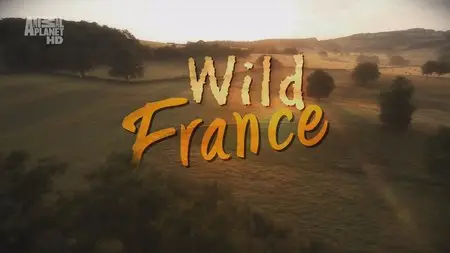 Wild France / La France sauvage (2011) 