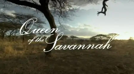 BBC Natural World - Queen of the Savannah (2012)