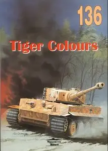 Tiger Colours