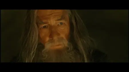 The Lord of the Rings: The Motion Picture Trilogy (Special Extended Edition) (2004)