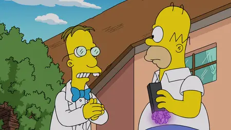 The Simpsons S01E02