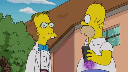 The Simpsons S01E02