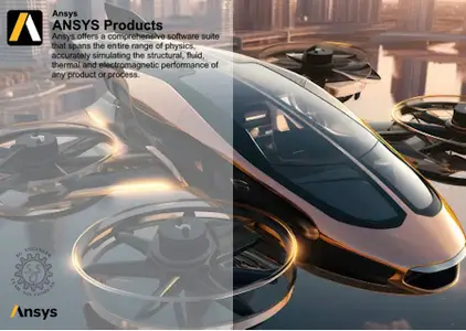 ANSYS Products+ 2025 R1