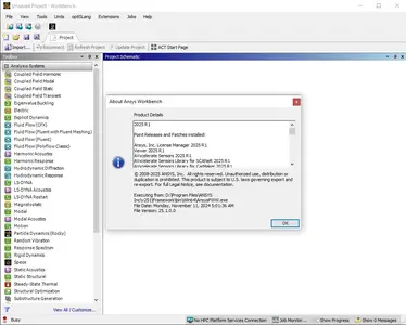 ANSYS Products+ 2025 R1