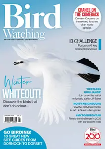 Bird Watching UK - January 2025